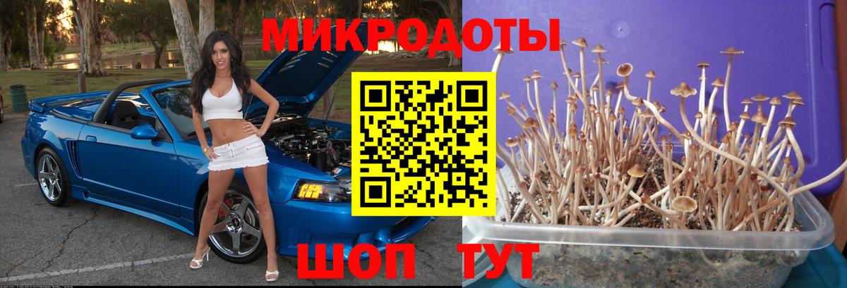 Шадринск  Псилоцибиновые грибы Magic Shrooms  Вход с VPN  Псилоцибиновые грибы ЛСД 